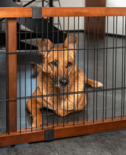 71Biq8zEhVL._AC_SL1500_