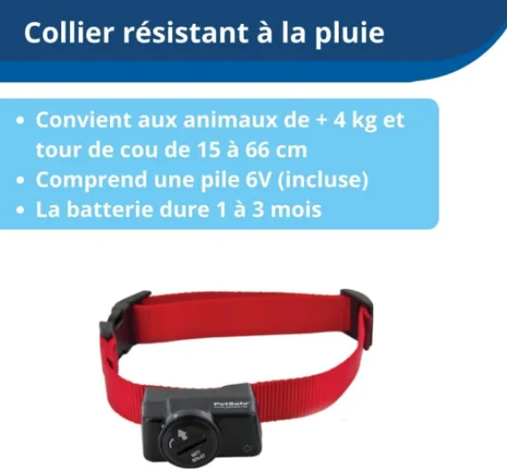 51DeyjOBboL._AC_SL1000_