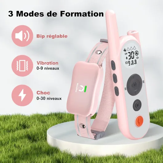 71ThNcPIrvL._AC_SL1500_