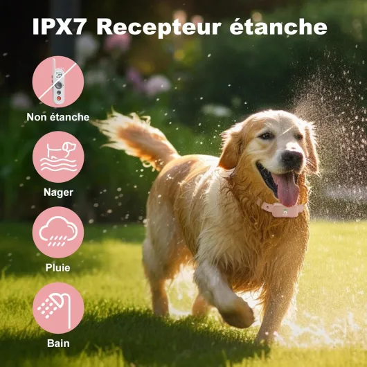 71FHhsSGXhL._AC_SL1500_