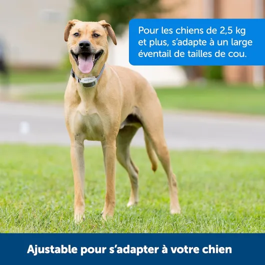 81XXkQ7h25L._AC_SL1500_