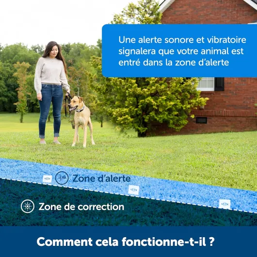 91aGR7HV5uL._AC_SL1500_