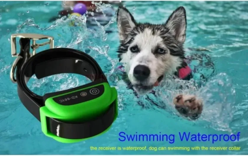 61S1ZchQxEL._AC_SL1000_