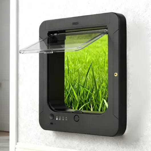 71w45RZAoeL._AC_SL1500_