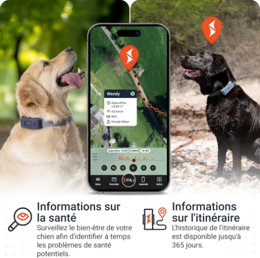 81fhaZVcCHL._AC_SL1500_