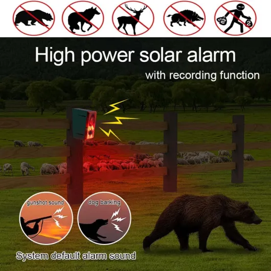 71efDrLT1zL._AC_SL1200_