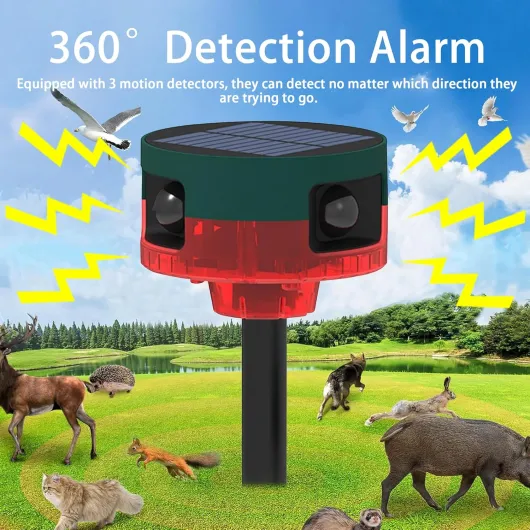 81XK3rVwwcL._AC_SL1500_