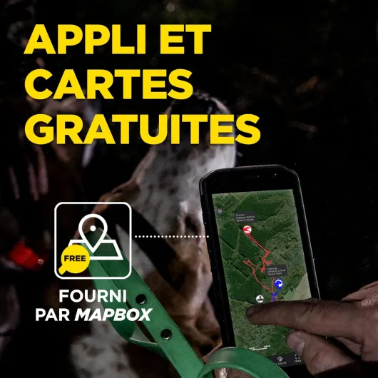 81R1GGhyvhL._AC_SL1500_