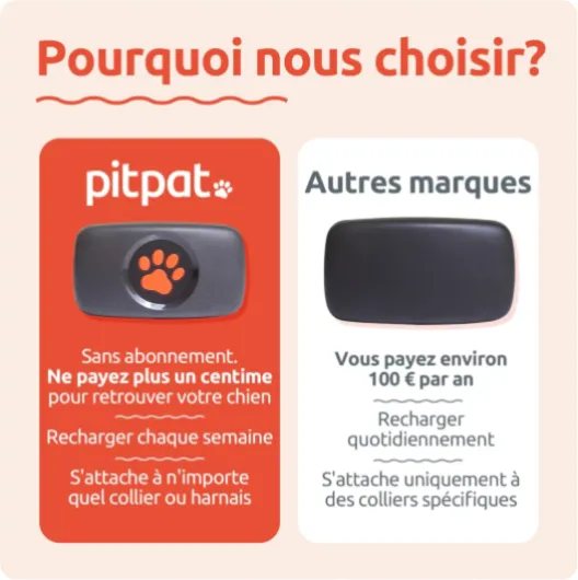 PitPat Traceur GPS pour Chien - Convient à Tous Les Chiens et se Fixe au Collier bleu