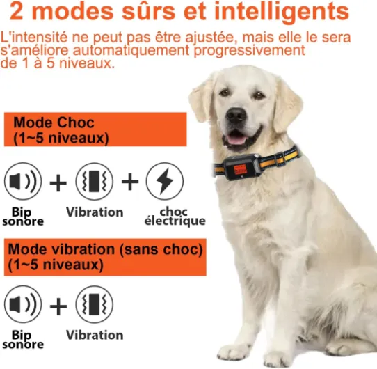 71tUtDEZLUL._AC_SL1500_