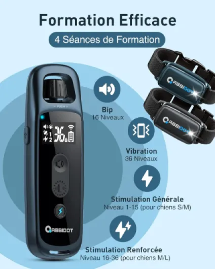 71wimpooZ-L._AC_SL1500_