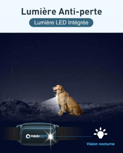 71AXpDcVtuL._AC_SL1500_