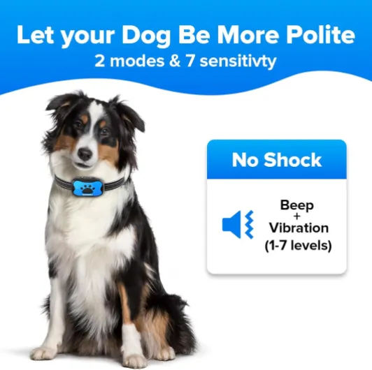 Collier Anti Aboiement pour Moyenne Grande Chiens, Collier Anti Aboiement Chien avec 2 Modes Ajustables Son/Vibration 7 Niveaux de Sensibilité, Efficace et Humain, Bleu