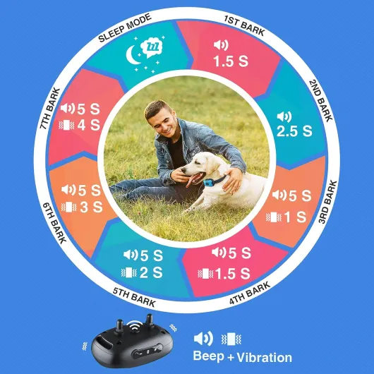 81ruhxCUkBL._AC_SL1500_