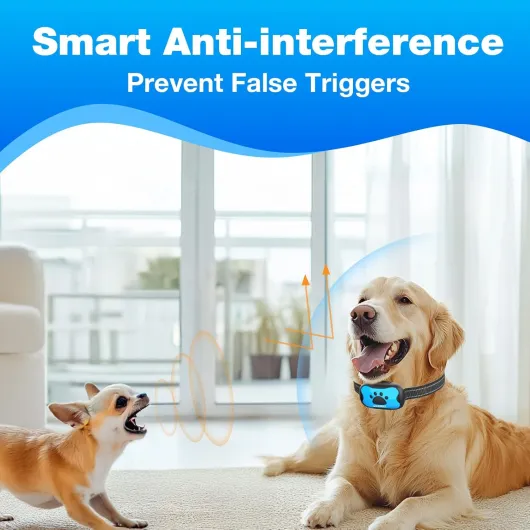 71Qp YgKrWL._AC_SL1500_