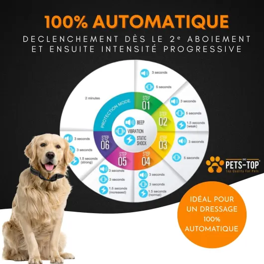 71T5av6UXDL._AC_SL1500_