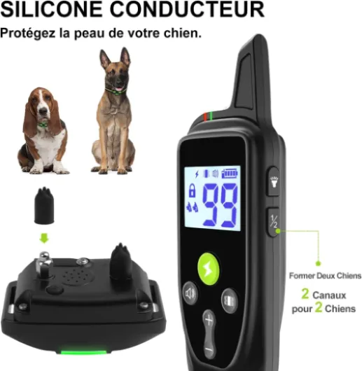 61uZ DBLaLL._AC_SL1500_