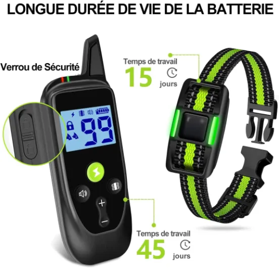 712LGD7FDZL._AC_SL1500_