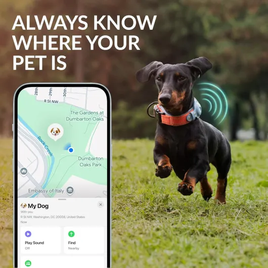 81dXeSDX7dL._AC_SL1500_