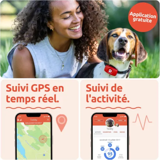 81RnoDNsNBL._AC_SL1500_