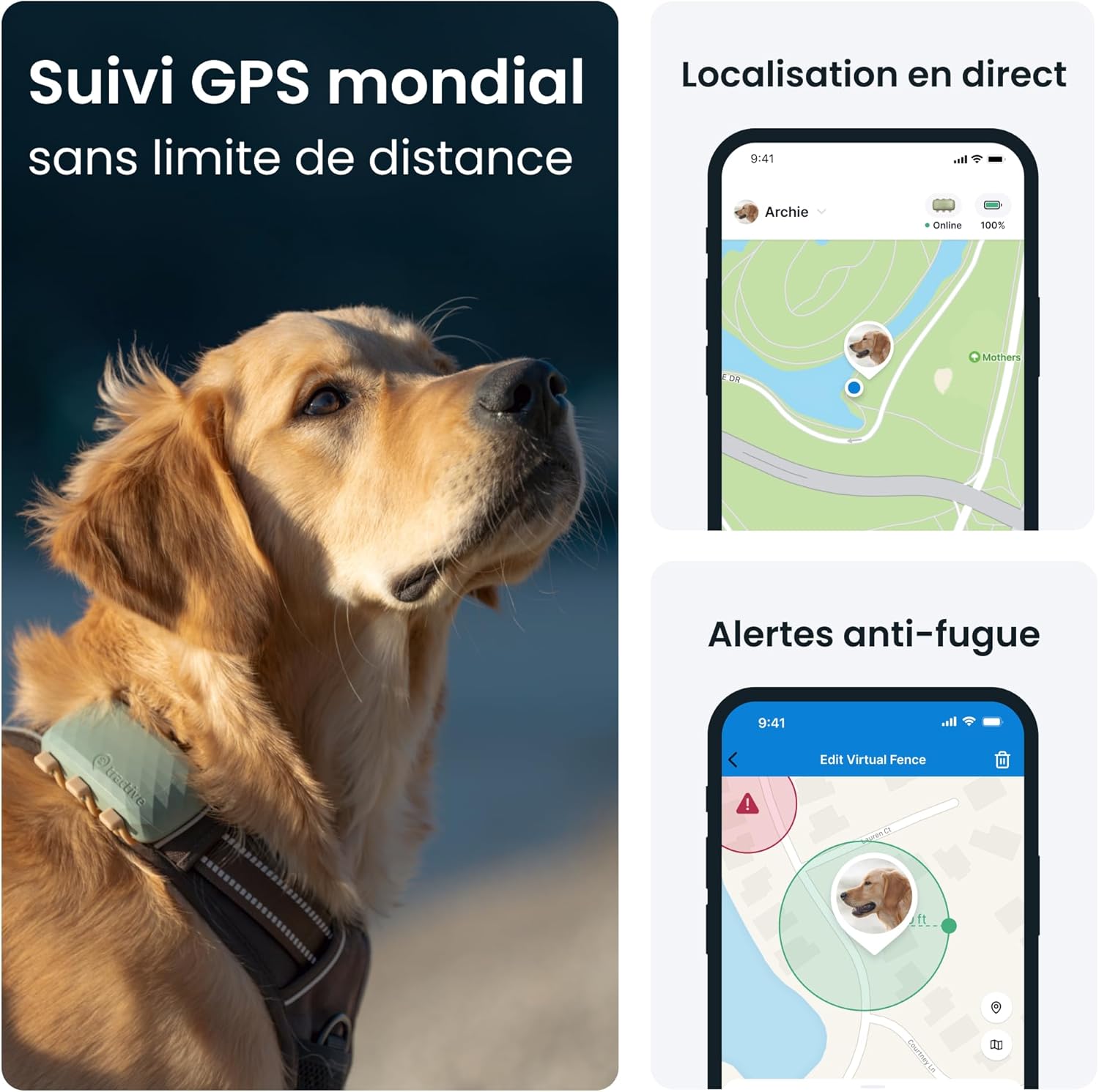 Collier GPS pour chien XL - Jusqu'à 1 mois d'autonomie - Élue Marque de l'Année - Localisation mondiale en direct - Alertes anti-fugue - Moniteur d'activité et alertes de santé GPS et tracker d'activité