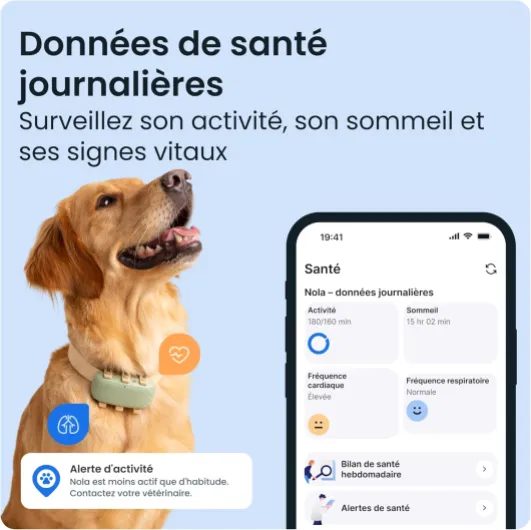 71WXIjd0IYL._AC_SL1500_