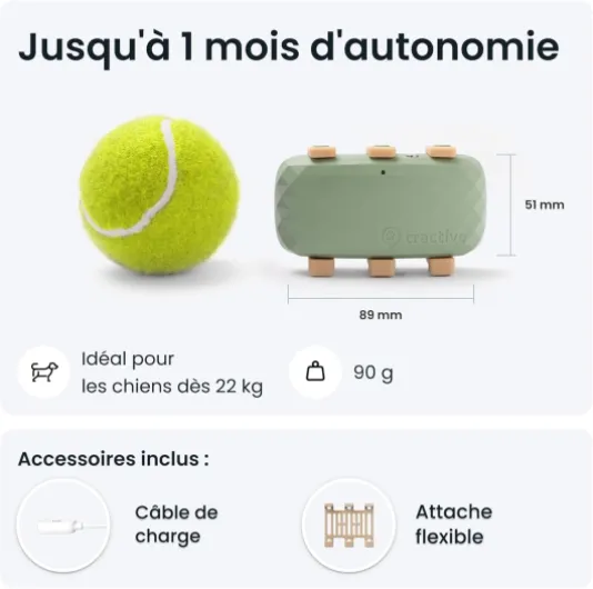 71ebtC9jTlL._AC_SL1500_