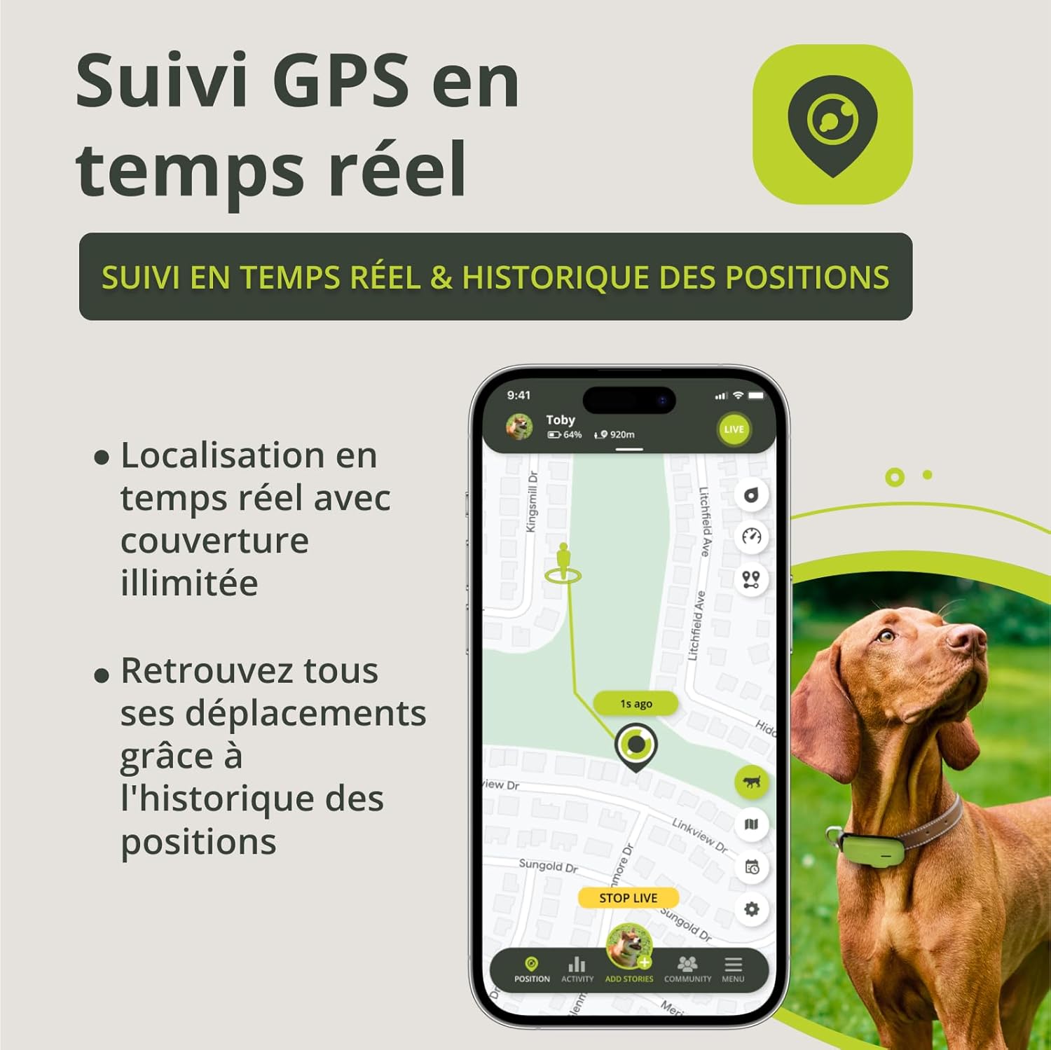 Dog - GPS pour Chiens - Traceur GPS étanche pour Chiens avec Fixation pour Collier - Suivi d'activité et de santé pour Votre Chien, avec GEOFENCE et Notifications - Couleur Verte