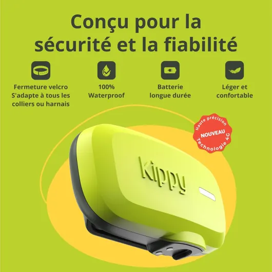 616iSLksxiL._AC_SL1500_