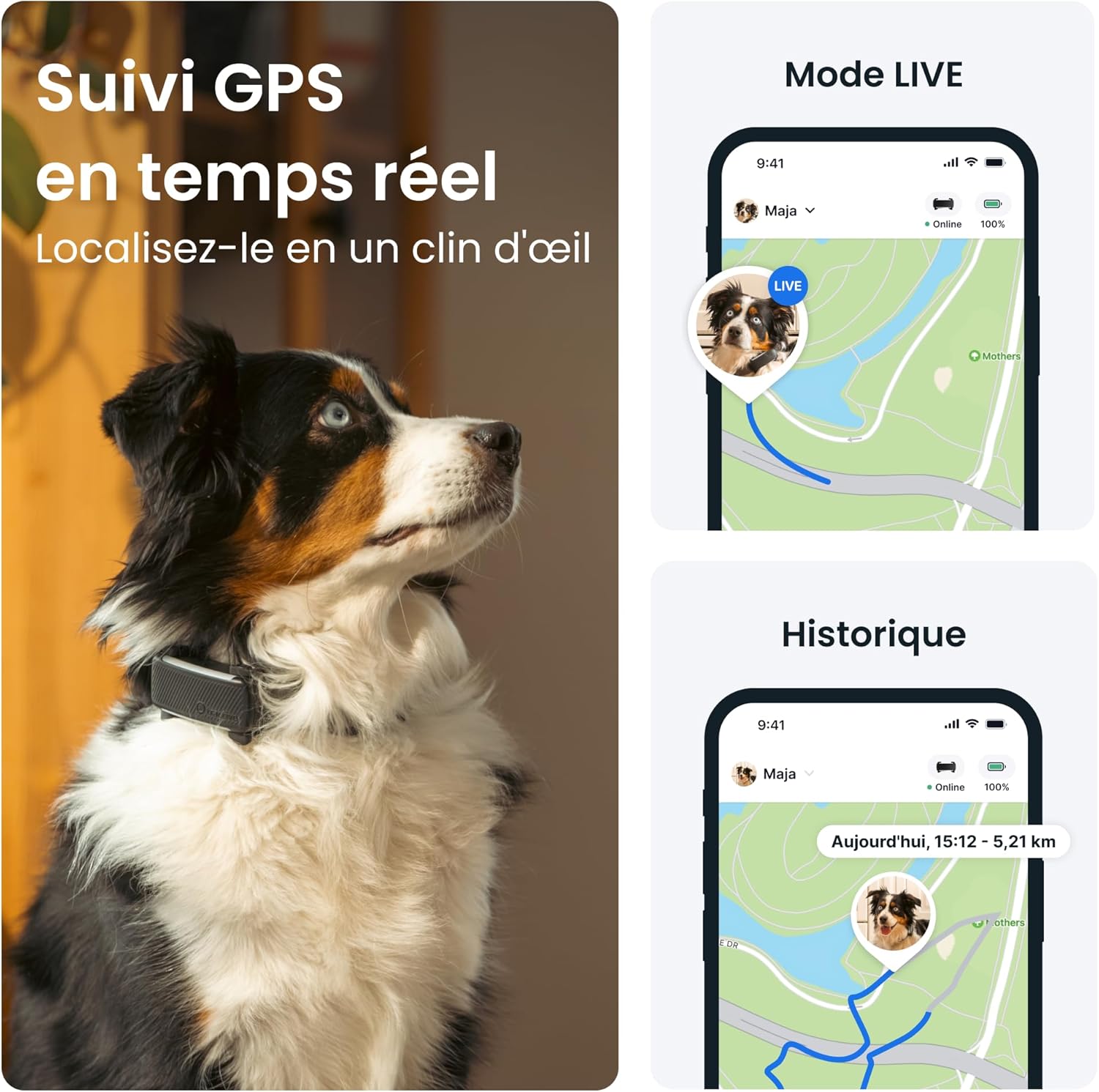 Collier GPS pour chien - 2025 Édition - Leader du marché - Localisation en direct - Alertes anti-fugue - Moniteur d'activité et d'aboiements - Alertes de santé (Noir)