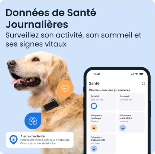 71wg5xykn0L._AC_SL1500_