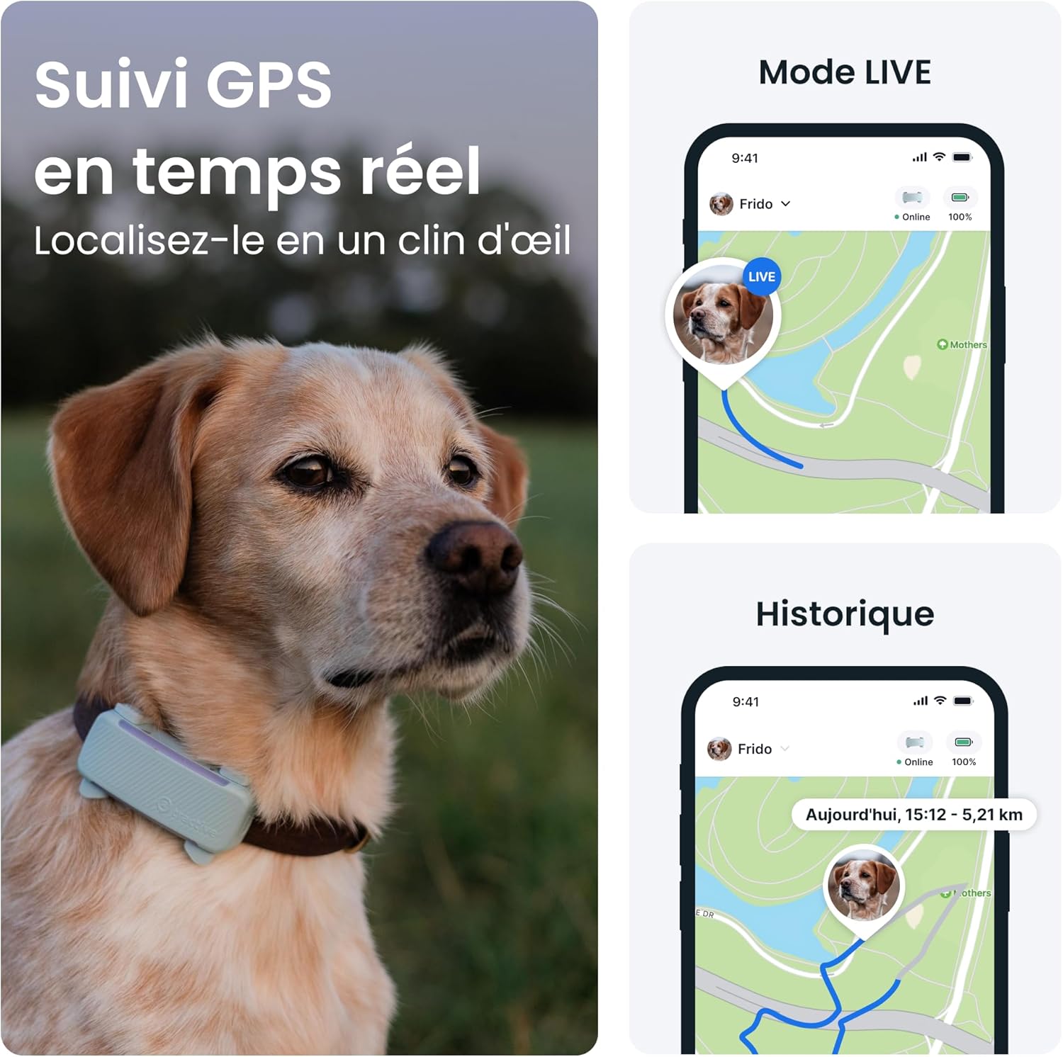 Collier GPS pour chien - 2025 Édition - Leader du marché - Localisation en direct - Alertes anti-fugue - Moniteur d'activité et d'aboiements - Alertes de santé (Menthe)