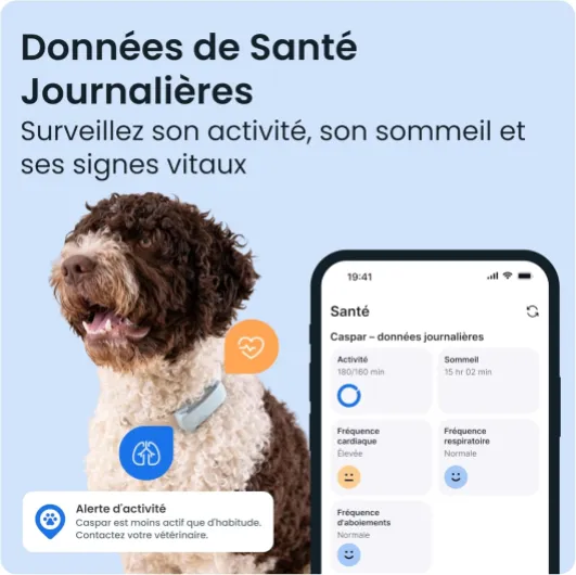 71R9491qKhL._AC_SL1500_