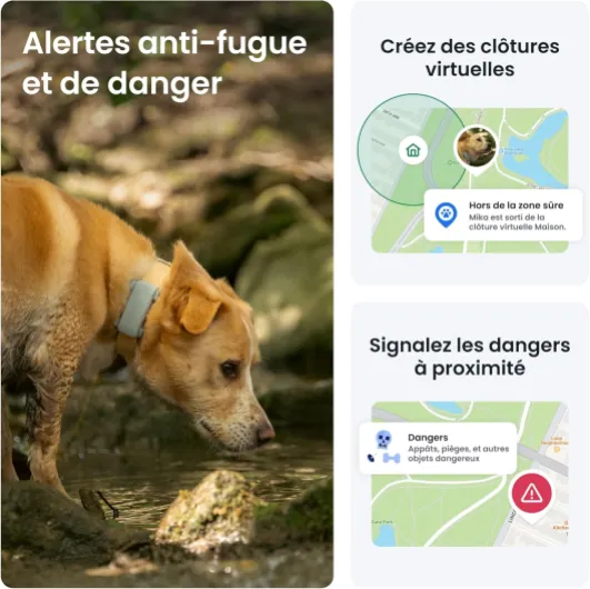 81pTWKIS2yL._AC_SL1500_