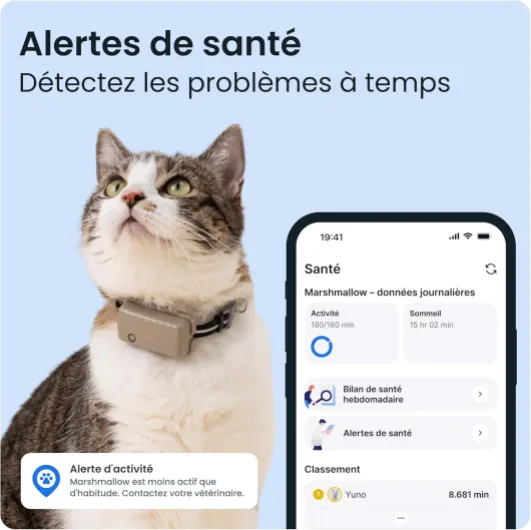 71KSRj1669L._AC_SL1500_