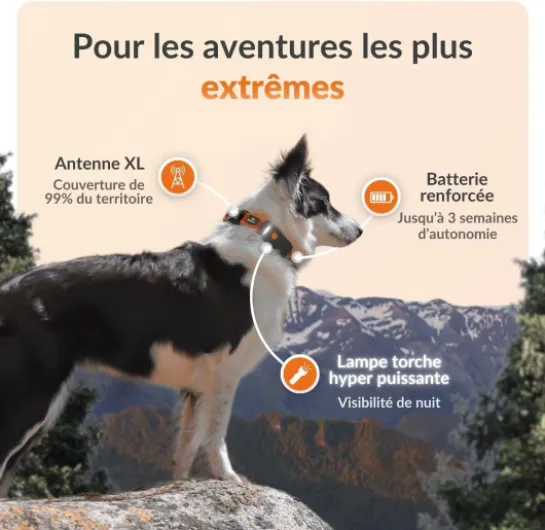 Chien XT - Nouveau Collier GPS pour Chien - Antenne XL - Etanche - Collier Hyper résistant intégré Julius-K9 - Garantie à Vie - Abonnement requis (Noir) Noir Traceur XT Avec collier