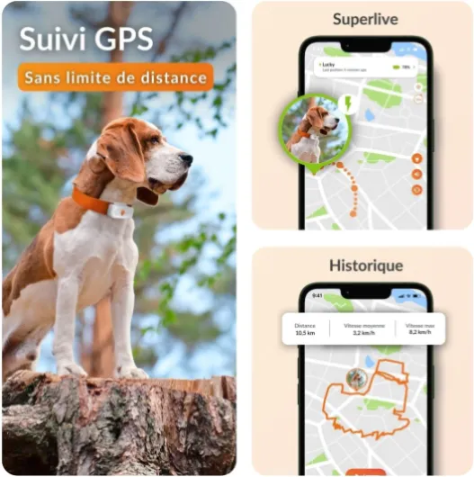 Chien XS - Mini Traceur GPS pour Chien - Suivi en Temps réel - Etanche - Plus Petit modèle du marché - Fonctionne avec abonnement - Garantie à Vie Blanc Traceur XS