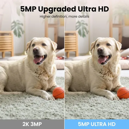 81QimJyQqtL._AC_SL1500_