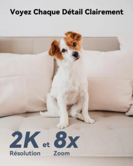 61-PwR-xuTL._AC_SL1500_