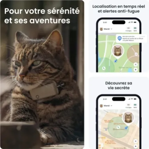 Test du Collier GPS Chat Connecté Mini : L'allié discret pour garder un œil sur votre félin.