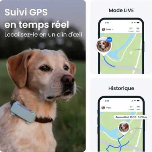 Test Tractive GPS 2025 : le collier qui suit votre chien à la trace