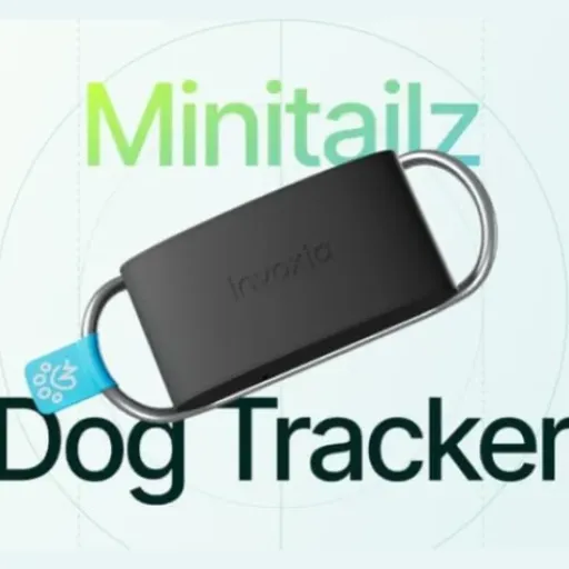 Test Invoxia Minitailz : le traceur GPS qui se penche aussi sur la santé de votre chien