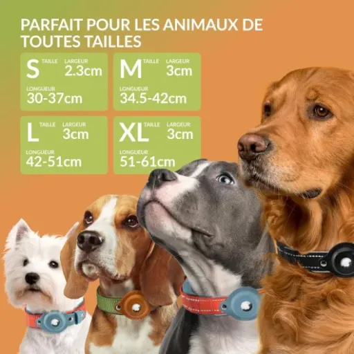 Test Collier Chien Airtag CollarDirect : le collier qui tient votre chien à l'œil