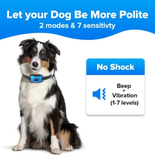 Test Collier Anti Aboiement MASBRILL : un outil simple pour les aboiements de votre chien