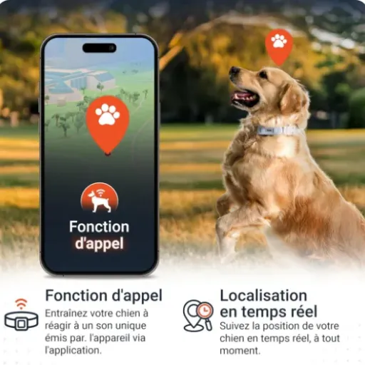 Test PAJ GPS pour Chien : Suivi sécurisé sans prise de tête