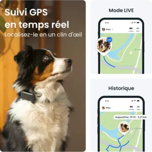 Test Collier GPS Tractive 2025 Édition : Le suivi du fidèle compagnon sans prise de tête