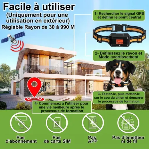 Test Collier Anti Fugue sans Fil GPS : la liberté contrôlée pour votre chien