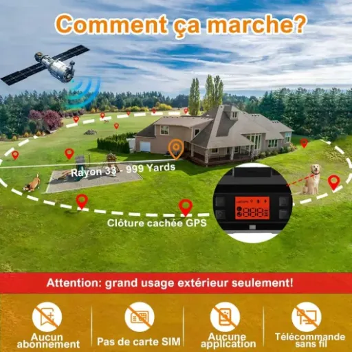 Test du Collier en Cuir de citronnelle avec Clôture Anti Fugue : Pour garder Médor en sécurité.