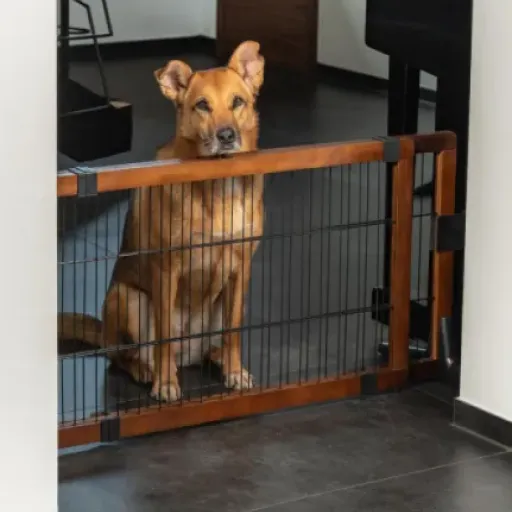 Test Lionto Barrière de Sécurité : de la solidité pour vos compagnons à quatre pattes