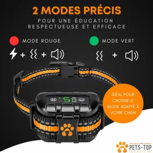 Test Collier Anti Aboiement One PETSTOP : le collier qui apprend à votre chien à se calmer.